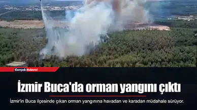 İzmir Buca'da orman yangını çıktı