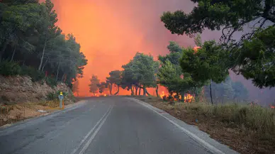 Yunanistan'da iki ilde yangınla mücadele sürüyor