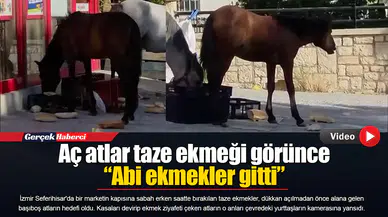 Aç atlar taze ekmeği görünce “Abi ekmekler gitti”