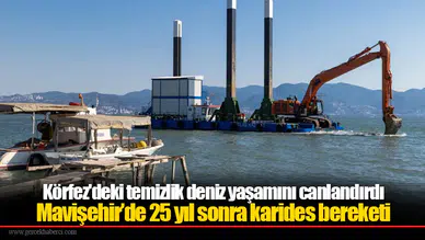 Körfez'deki temizlik deniz yaşamını canlandırdı