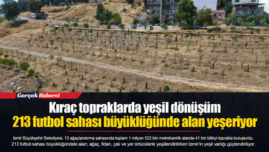 Kıraç topraklarda yeşil dönüşüm... 213 futbol sahası büyüklüğünde alan yeşeriyor
