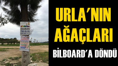 URLA'NIN AĞAÇLARI ''BİLBOARD''A DÖNDÜ