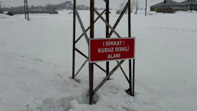Yüksekova’da kuduz alarmı: Ekiplerin müdahalesiyle durum kontrol altına alındı