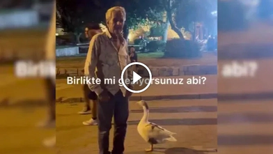 Kaz ile dostluğu yürekleri ısıttı... Yanından hiç ayrılmadı...