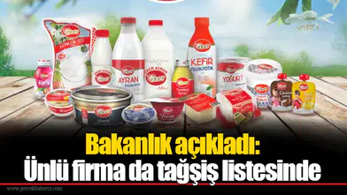 Bakanlık açıkladı: Ünlü firma da tağşiş listesinde