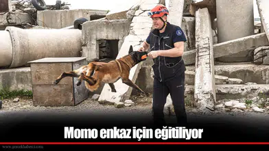 Momo enkaz için eğitiliyor