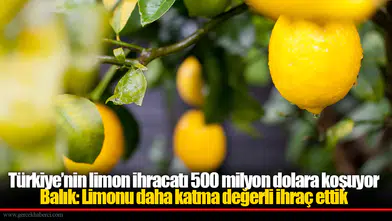 Türkiye’nin limon ihracatı 500 milyon dolara koşuyor