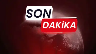 Büyükada Viranbağ Plajı'nde yangın çıktı