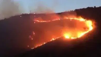 Karşıyaka'da rüzgar yangını büyütüyor, ekipler bölgede