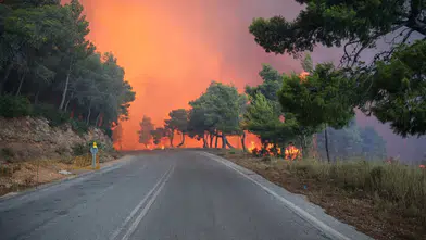 Yunanistan'da iki ilde yangınla mücadele sürüyor