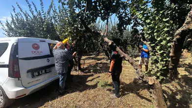 Menderes’te Akdeniz Meyve Sineğine Karşı Biyoteknik Mücadele