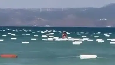 Çeşme Paşalimanı sahilini yüzlerce köpük kutu sardı