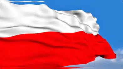 Polonya'da Anayasa Mahkemesi krizi: Cumhurbaşkanı Nawrocki ülkeye dönüyor