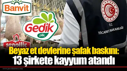 Beyaz et devlerine şafak baskını: 13 şirkete kayyum atandı