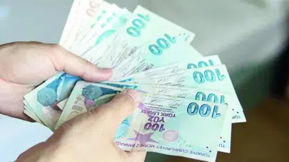 'Vatandaşlık maaşı' düzenlemesi Temmuz'da Meclise geliyor