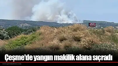 Çeşme'de yangın makilik alana sıçradı