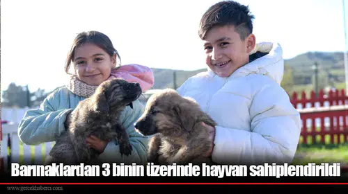 Barınaklardan 3 binin üzerinde hayvan sahiplendirildi