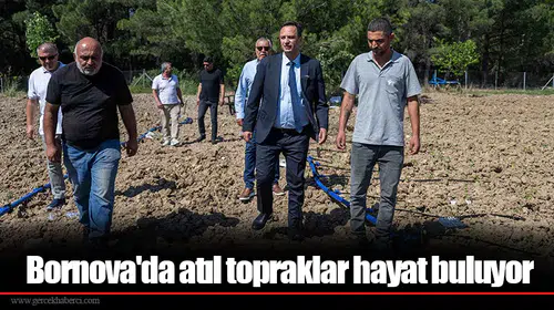 Bornova'da atıl topraklar hayat buluyor