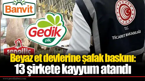 Beyaz et devlerine şafak baskını: 13 şirkete kayyum atandı