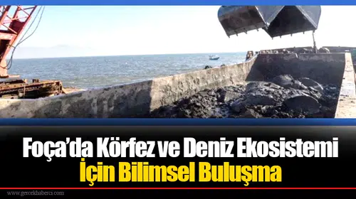 Foça’da Körfez ve Deniz Ekosistemi İçin Bilimsel Buluşma