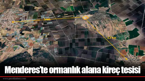 Menderes’te ormanlık alana kireç tesisi