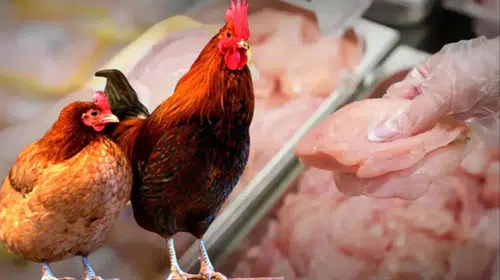 Beyaz et soruşturması ihracatı vurdu: Haftalık kayıp dudak uçuklattı