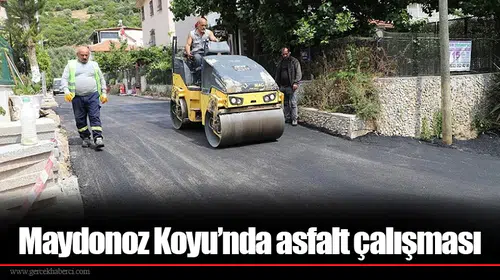 Maydonoz Koyu’nda asfalt çalışması