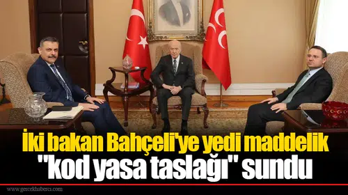 İki bakan Bahçeli'ye yedi maddelik "kod yasa taslağı" sundu