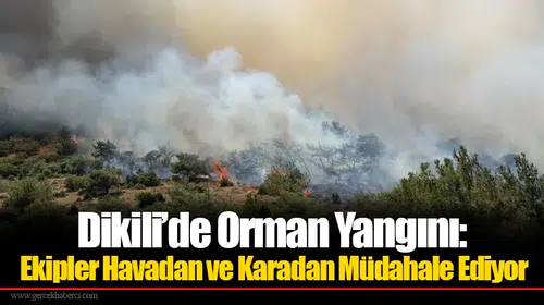 Dikili’de Orman Yangını: Ekipler Havadan ve Karadan Müdahale Ediyor