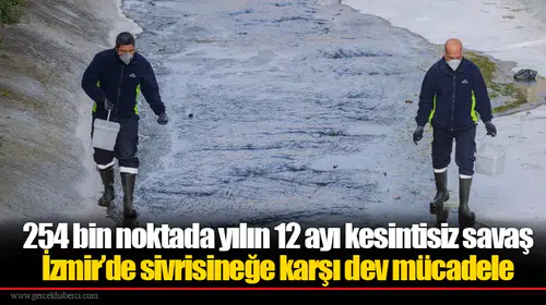 254 bin noktada yılın 12 ayı kesintisiz savaş:  İzmir’de sivrisineğe karşı dev mücadele