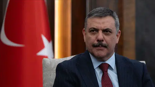 Bakan Çiftçi tarih verdi: Tüm sokak köpekleri barınaklara alınacak