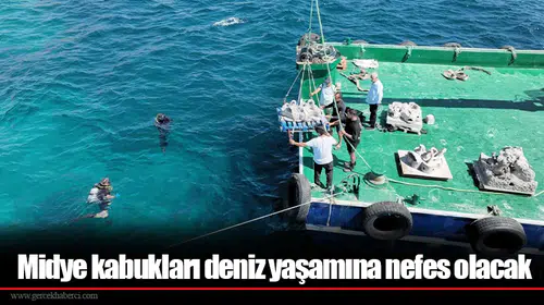 Midye kabukları deniz yaşamına nefes olacak