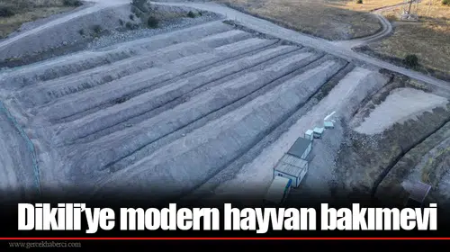 Dikili’ye modern hayvan bakımevi
