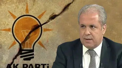 İBB davasındaki hakimin 'soytarı' sözlerine Şamil Tayyar'dan tepki: 'Normalleştirilmemeli'