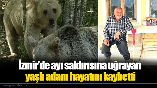 İzmir’de ayı saldırısına uğrayan yaşlı adam hayatını kaybetti