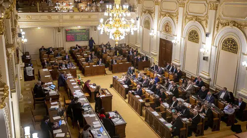 Çekya, kadına yönelik şiddetle mücadelede İstanbul Sözleşmesi'nden çekildi