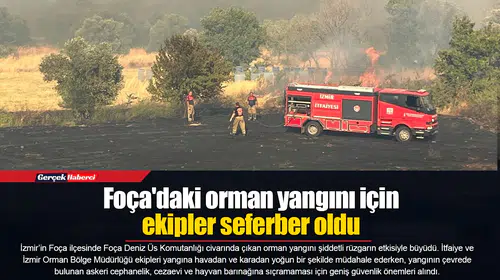 Foça'daki orman yangını için ekipler seferber oldu