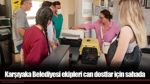 Karşıyaka'da Sokak Hayvanlarına Yönelik Tedavi ve Farkındalık Projeleri Devam Ediyor