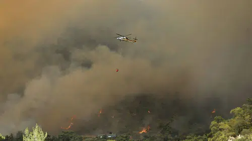 Fethiye'de orman yangını: Bir mahalle tedbir amacıyla boşaltılıyor