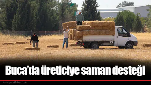 Buca’da üreticiye saman desteği