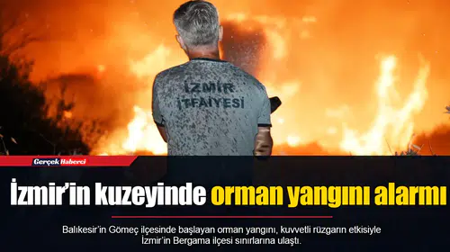 İzmir’in kuzeyinde orman yangını alarmı