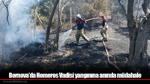 Bornova’da Homeros Vadisi yangınına anında müdahale