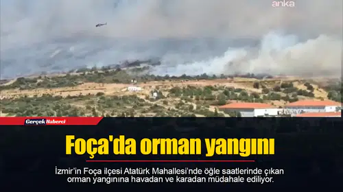 Foça'da orman yangını