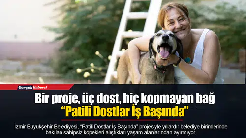 Bir proje, üç dost, hiç kopmayan bağ  “Patili Dostlar İş Başında”