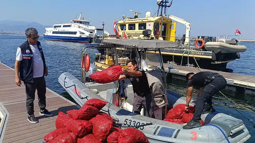 Yasa Dışı Kara Midye Avcılığına Geçit Yok