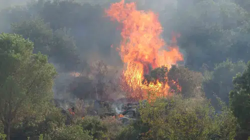 Antalya'da İki İlçedeki Orman Yangınları 1,5 Saatte Kontrol Altına Alındı
