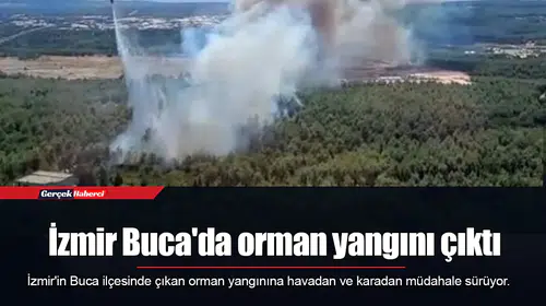 İzmir Buca'da orman yangını çıktı