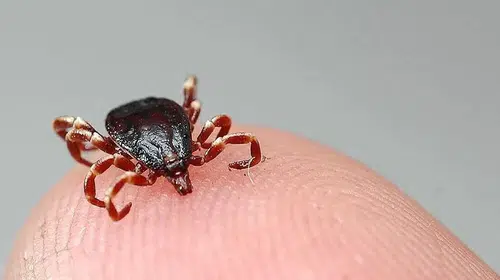 KKKA şüphesiyle tedavi gören kişi hayatını kaybetti