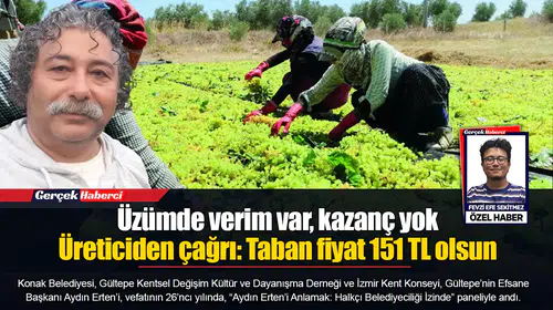 Üzümde verim var, kazanç yok... Üreticiden çağrı: Taban fiyat 151 TL olsun