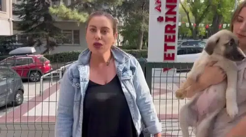 Hayvanları Koruma Derneği Başkanı Gülay Akgün Mutlu'nun katil zanlısı Kırıkkale'de gözaltına alındı
